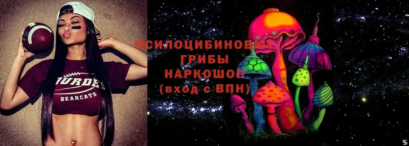 Псилоцибиновые грибы Psilocybe  Макушино 